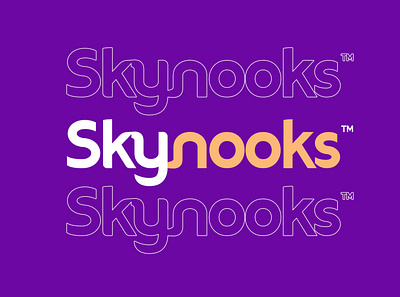 Skynooks brand identity branding design graphic design illustration logo typography