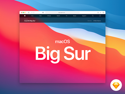 Safari Big Sur - Mockup