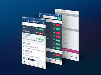 iOS App for Stock Market Website design flat interface ios iphone ix stock ui