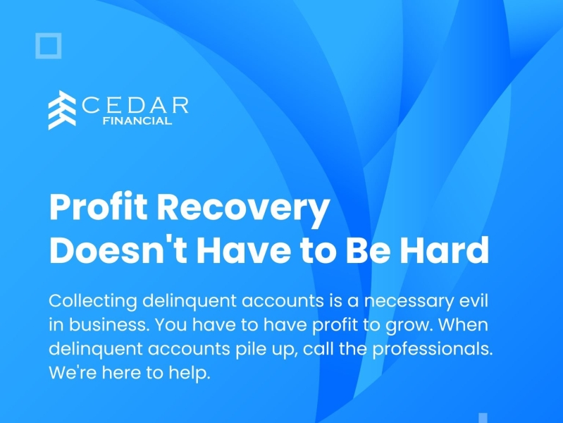 Profit Recovery Doesn't Have To Be Hard. By Cedar Financial On Dribbble