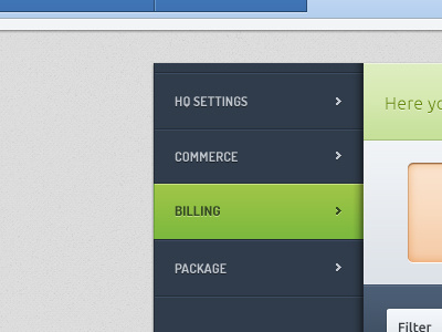 Admin Panel admin blue button dark dashboard green orange panel ui ux web website