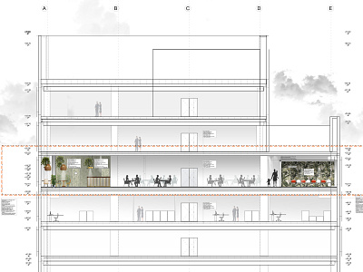 Vegan restaurant section autocad conference room design green interior interior architecture photoshop restaurant