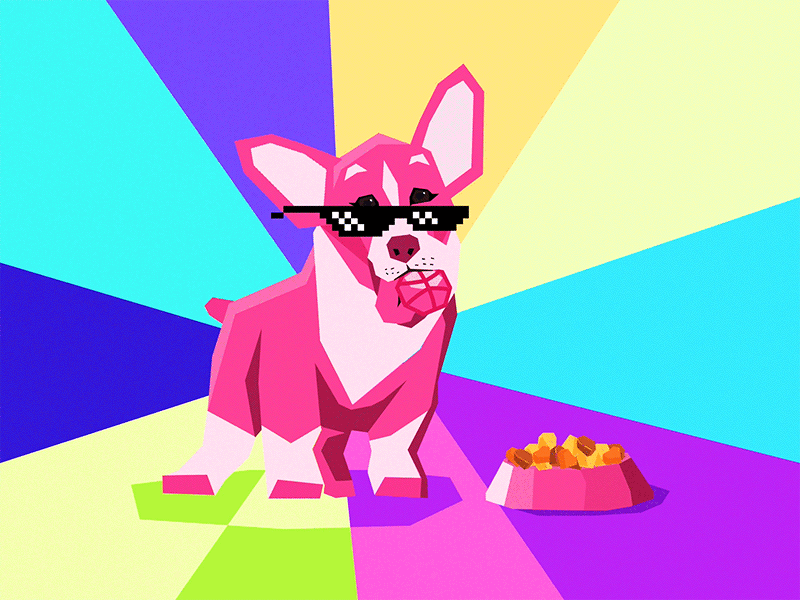 Dribbble party never killed nobody!!! animation colorful corgi debut dog dribbble first shot gif invite party thanks