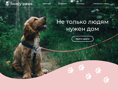 Lovely Paws pet's shelter figma lovely paws pet pets pets shelter shelter ui ux