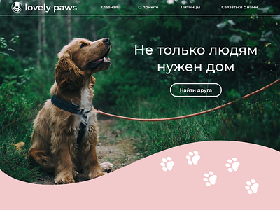 Lovely Paws 
pet's shelter