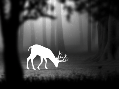 Deer Animation - Shot 1 2d 3d animation deer motion