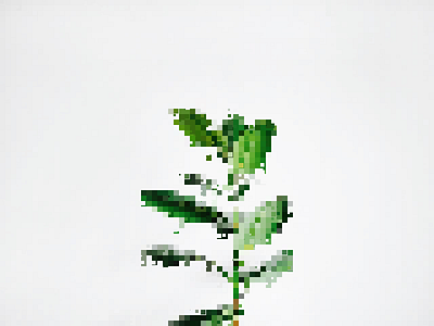 Pixelated photos