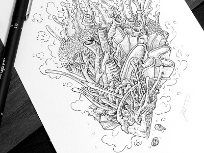 Corals artwork coral drawing illustration inking pen and ink sea underwater