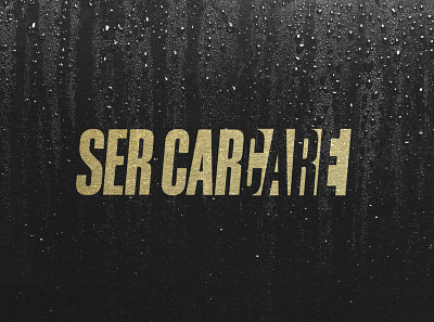 SerCarCare brand identity branding design graphic design identity illustration logo logo design typography vector