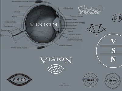 Vision Branding Concept brand identity branding branding design concept design logo logo design logotype moodboard typography visual identity