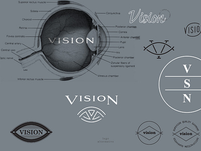 Vision Branding Concept