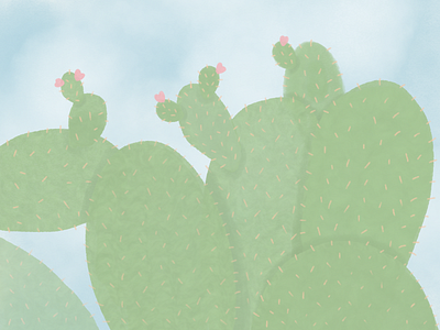 Cacti cacti cactus california design digital painting illustration minimal plant shading shot