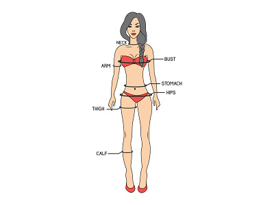 Printable Body Measurement Chart Female branding design female female character flat flat design flat illustration freebies illustration khaid measuremnetchart modeling modern vector waleed wilirax wilirax designs