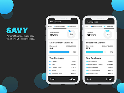 Savy Finances Dribbble