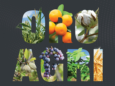 Crop Letters ag agriculture almond corn cotton crop food grape graphic design grow letter orange photoshop potato typography wheat