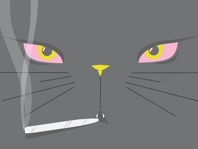 Salty Devito Gig Poster 420 cat design gig poster illustration music show weed