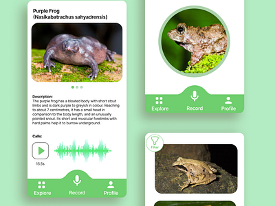 FrogFinder - Mobile App app conservation frog mobile app ui ux