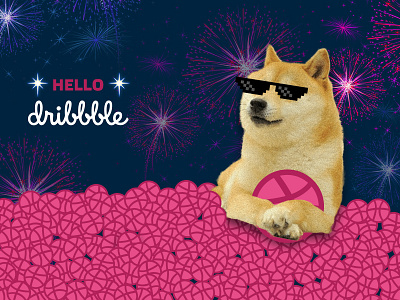 Hello Dribble! And Happy NY! debut dog fun happy new year