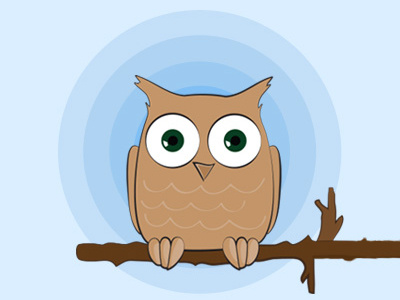 Owl animals brid illustration owl