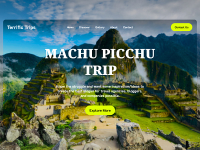 Terrific Trips Landing page