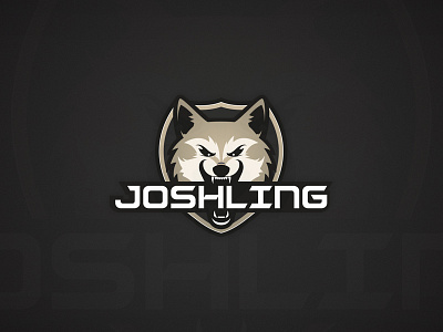 Twitch Streamer Logo