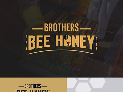 Bee Honey logo bee beehoney design