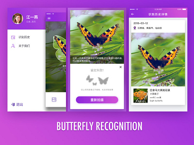 Butterfly Recognition app butterfly purple recognition