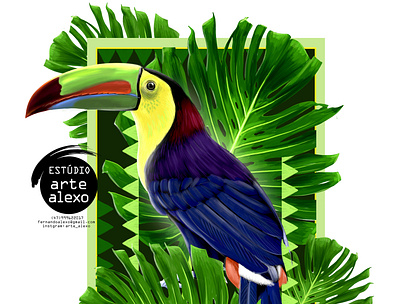 Toucan, Latin American painting. illustration manual criação textil