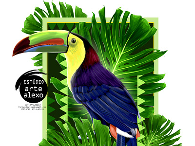 Toucan, Latin American painting.