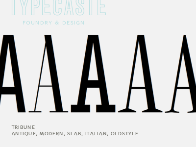 Tribune Styles font tribune typecaste typeface typeface design typography