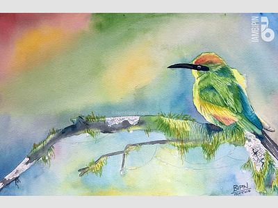 Kingfisher | Watercolor Painting bird fine art kingfisher painting traditional art watercolor watercolor lovers