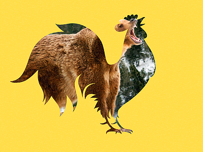 World Advertising Day advertising animation bear design illustration instagram rooster symbol