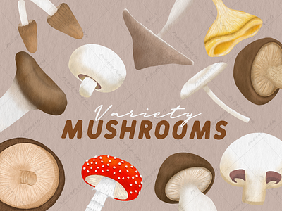 Variety Mushrooms character crayon cute design digital art graphic design illustration