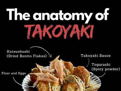 Anatomy of Takoyaki design graphic design illustration layout