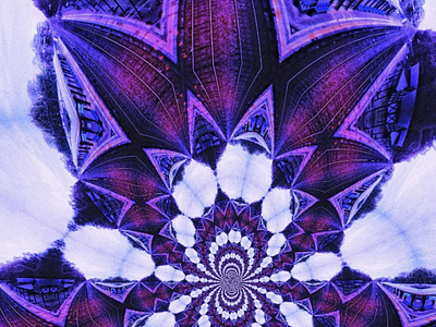 Digital Flower design digital distortion elliptic flower fractal graphic pattern photography purple