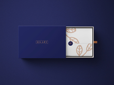Hilary Eyewear brand branding logo logodesign packaging packagingdesign