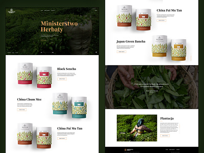 Ministerstwo Herbaty brand branding design logo packaging packagingdesign tea web design webdesign website