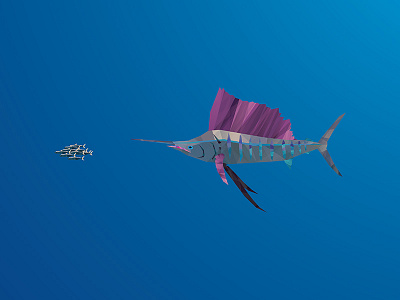 Sailfish animal facet fish ocean