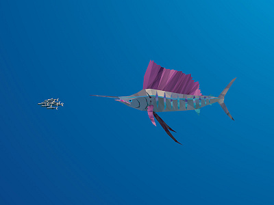 Sailfish