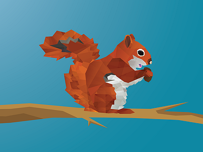 Red Squirrel animal facet forrest squirrel