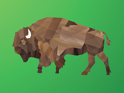 Bison animal bison facet forrest