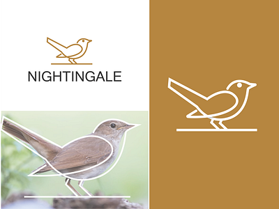 Nightingale Bird logo