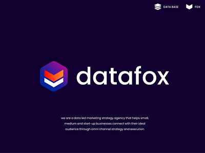 datafox analyse analytics animal chart clever creative data data base design finance fox logo minimal simple
