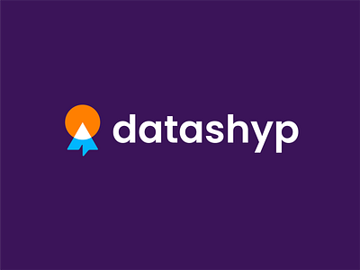 datashyp airplane analyse analytics clever creative data design fly logo minimal modern shipping simple sun technology