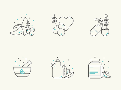 Health / Natural Icons brand design graphic design icons illustration shapes ui