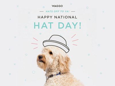 National Hat Day Illustration for Waggo dogs graphic design hat icons illustration shapes waggo