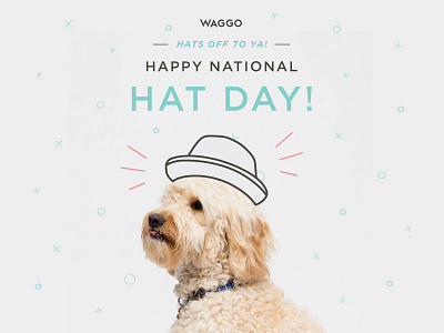 National Hat Day Illustration for Waggo