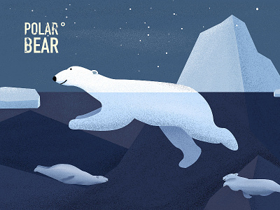 Polar Bear arctic