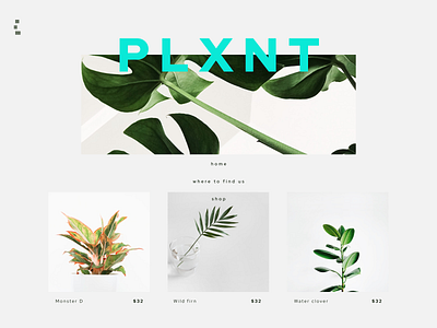 PLAXT daily challenge daily ui challenge dailyui design flat plants shop ui uiux user interface design ux web design