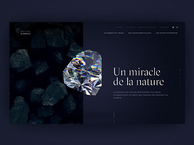 Diamond Producer Association artistique dark diamant diamond digital direction light luxury webdesign